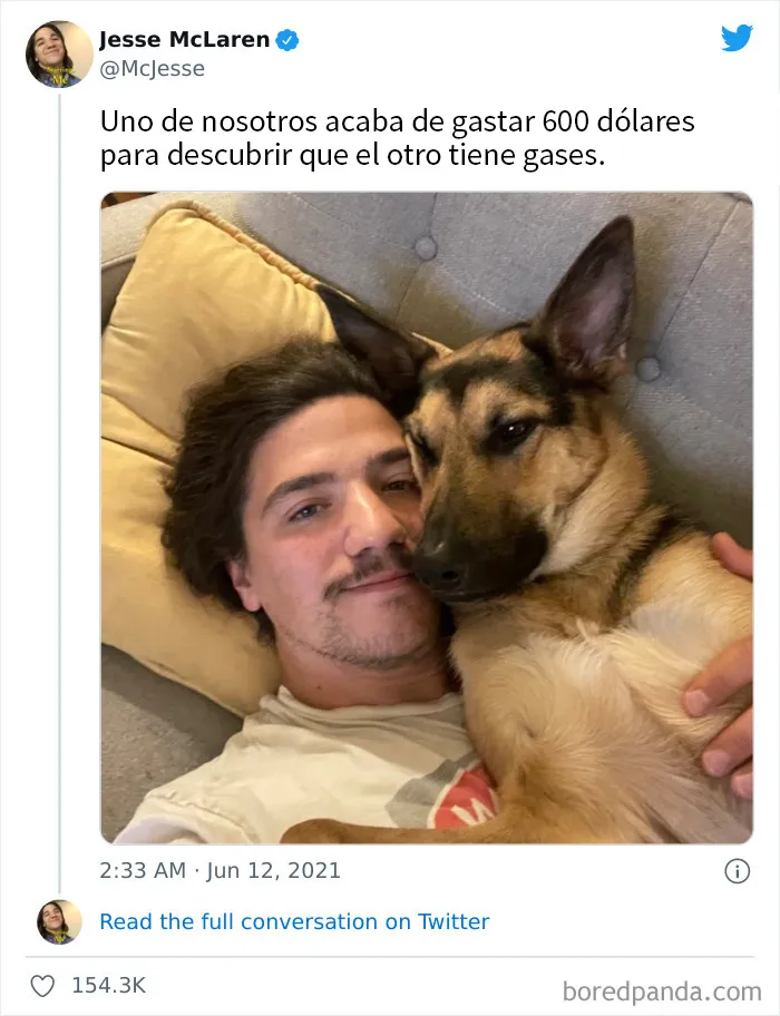 20 Dueños comparten la razón más ridícula por la que tuvieron que llevar a su mascota al veterinario