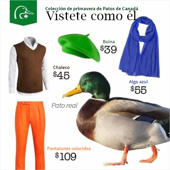 20 Anuncios muy extraños compartidos en el grupo de Facebook “Anuncios con auras amenazantes” (nuevas imágenes)