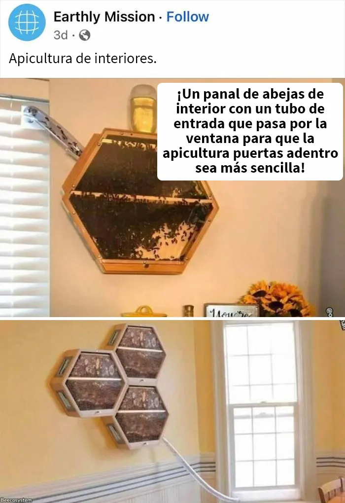 20 Anuncios muy extraños compartidos en el grupo de Facebook “Anuncios con auras amenazantes” (nuevas imágenes)