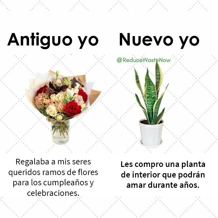 20 Memes de «Antiguo yo VS Nuevo yo» que te ayudarán a reducir desperdicios (nuevas publicaciones)