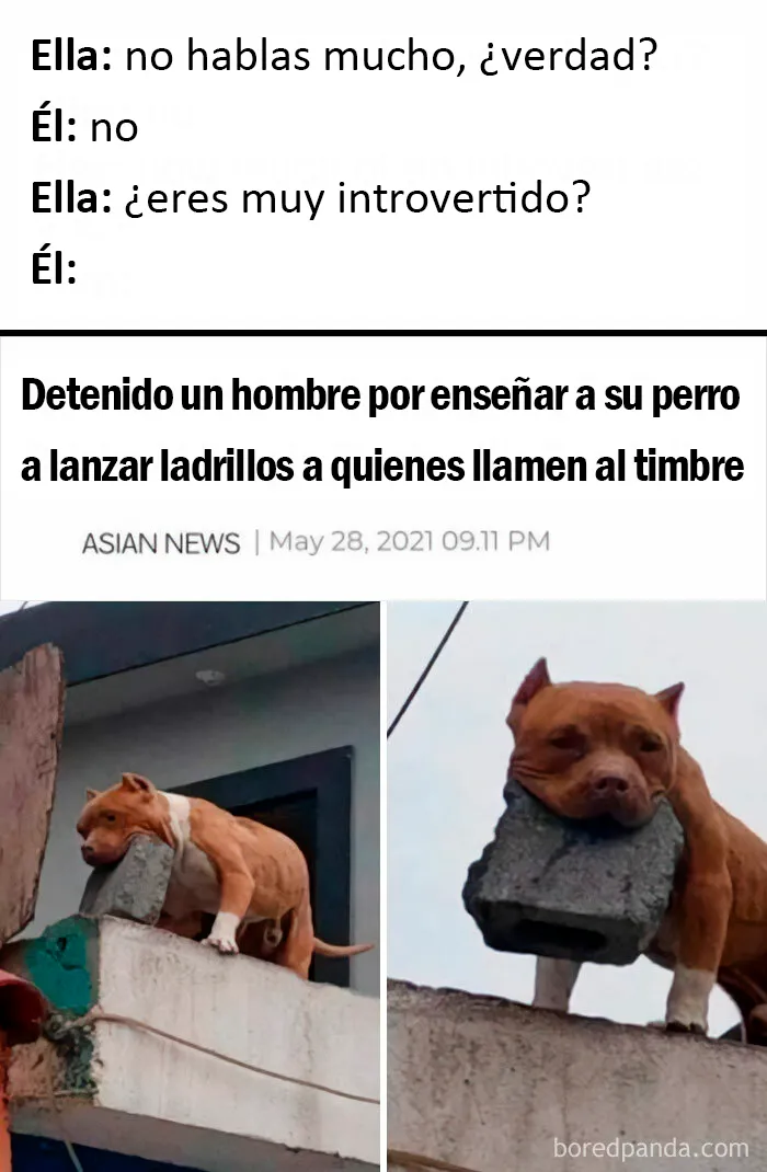 20 Memes dolorosamente divertidos sobre ser introvertidos, compartidos en este grupo online