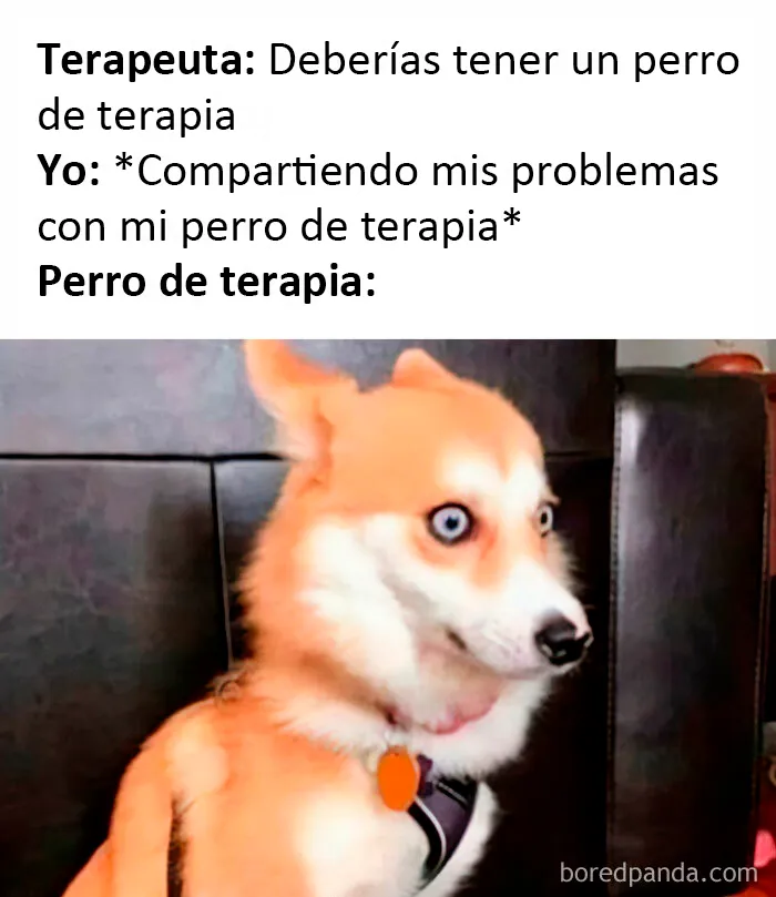 20 Memes dolorosamente divertidos sobre ser introvertidos, compartidos en este grupo online
