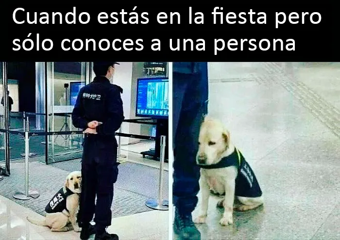 "Nación Introvertida": 20 Memes divertidos con los que identificarse sacados de esta cuenta de Instagram