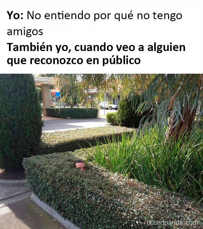 20 Memes dolorosamente divertidos sobre ser introvertidos, compartidos en este grupo online