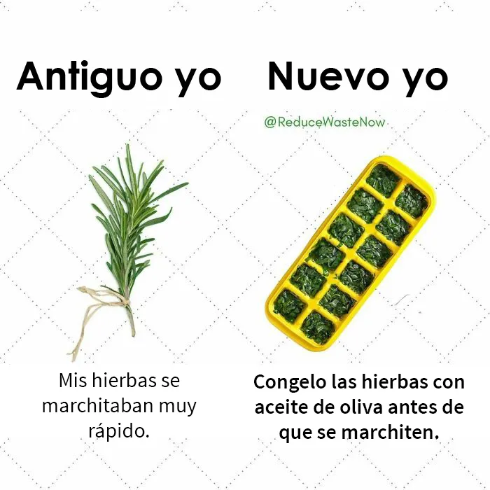 20 Memes de «Antiguo yo VS Nuevo yo» que te ayudarán a reducir desperdicios (nuevas publicaciones)