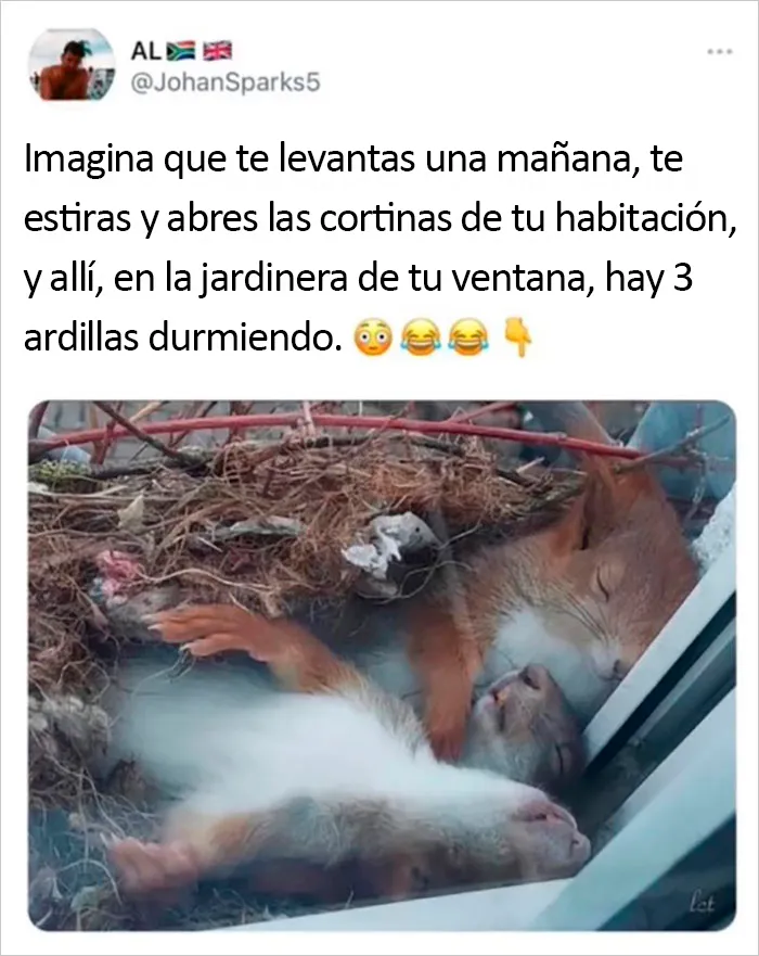 20 Publicaciones reconfortantes para sentirse bien, compartidas en el instagram "Delightful news"