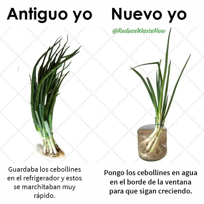 20 Memes de «Antiguo yo VS Nuevo yo» que te ayudarán a reducir desperdicios (nuevas publicaciones)