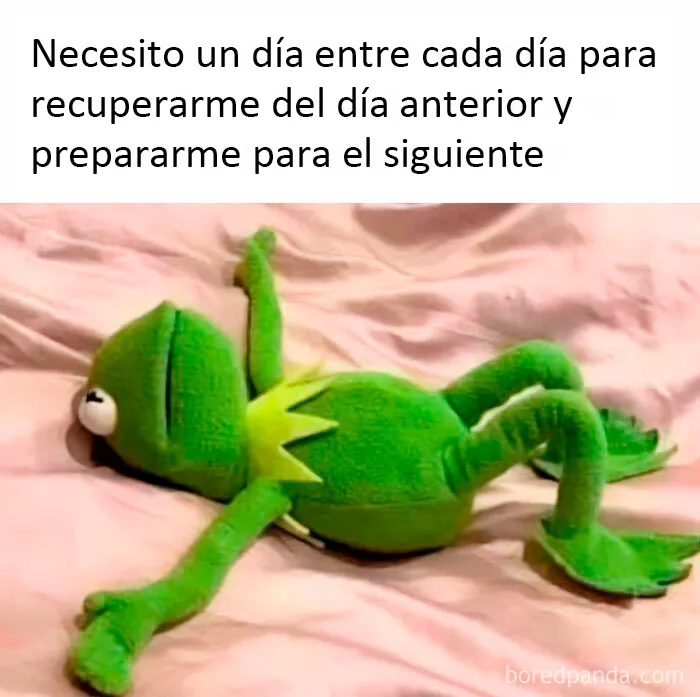20 Memes dolorosamente divertidos sobre ser introvertidos, compartidos en este grupo online