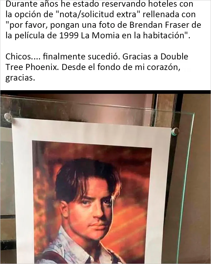 20 Publicaciones reconfortantes para sentirse bien, compartidas en el instagram "Delightful news"