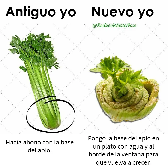 20 Memes de «Antiguo yo VS Nuevo yo» que te ayudarán a reducir desperdicios (nuevas publicaciones)