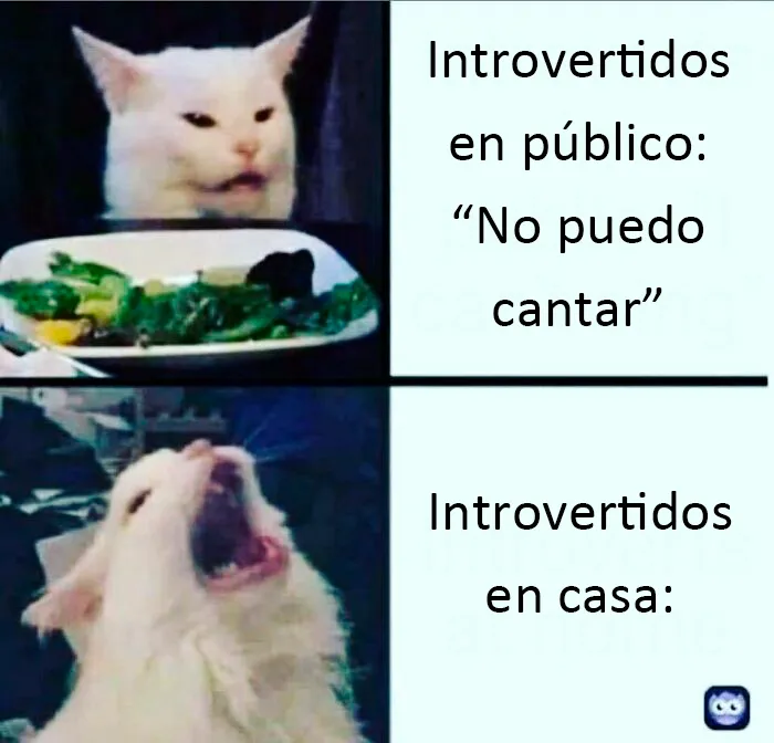 "Nación Introvertida": 20 Memes divertidos con los que identificarse sacados de esta cuenta de Instagram