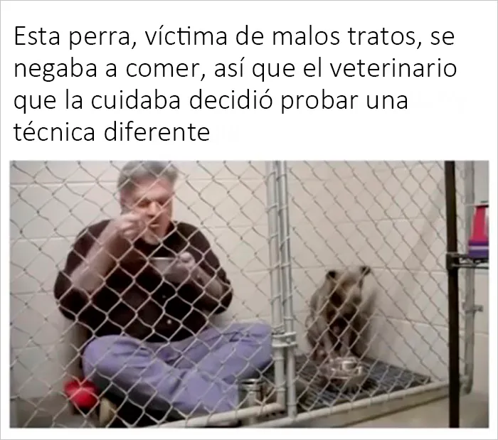 20 Publicaciones reconfortantes para sentirse bien, compartidas en el instagram "Delightful news"