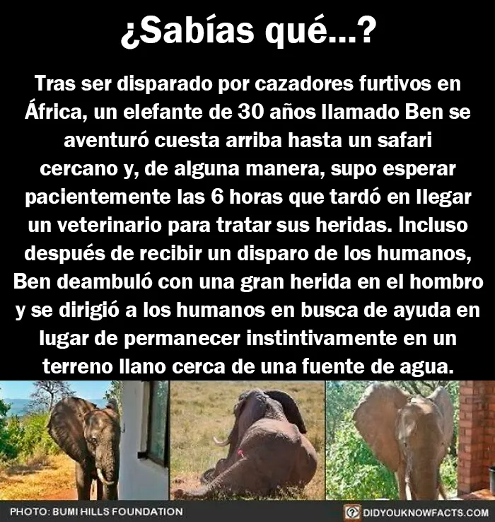 20 Datos interesantes y contrastados que quizá no sepas sobre el mundo