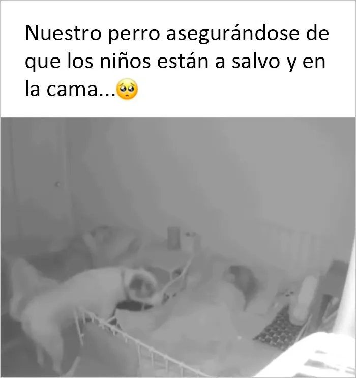 20 Publicaciones reconfortantes para sentirse bien, compartidas en el instagram "Delightful news"