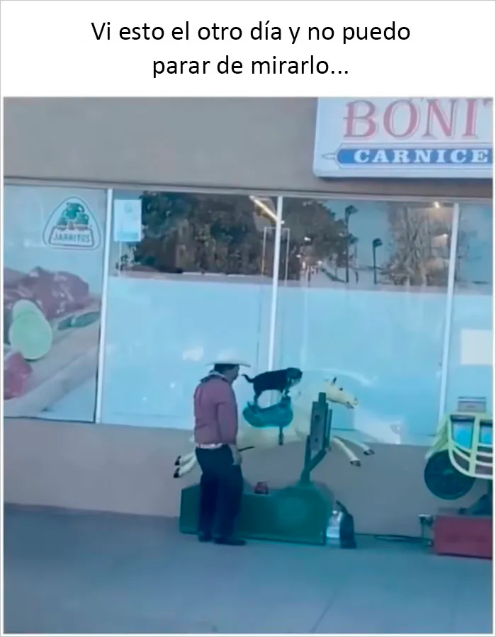 20 Publicaciones reconfortantes para sentirse bien, compartidas en el instagram "Delightful news"