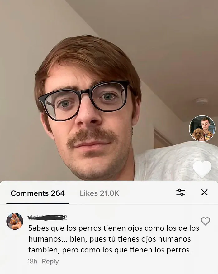 20 Personas totalmente fulminadas con palabras, según la cuenta de Twitter "Insultos raros"
