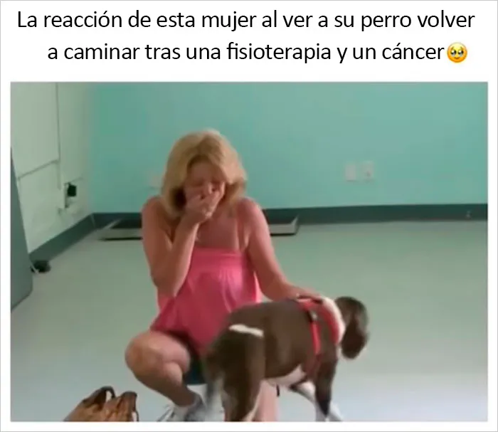 20 Publicaciones reconfortantes para sentirse bien, compartidas en el instagram "Delightful news"