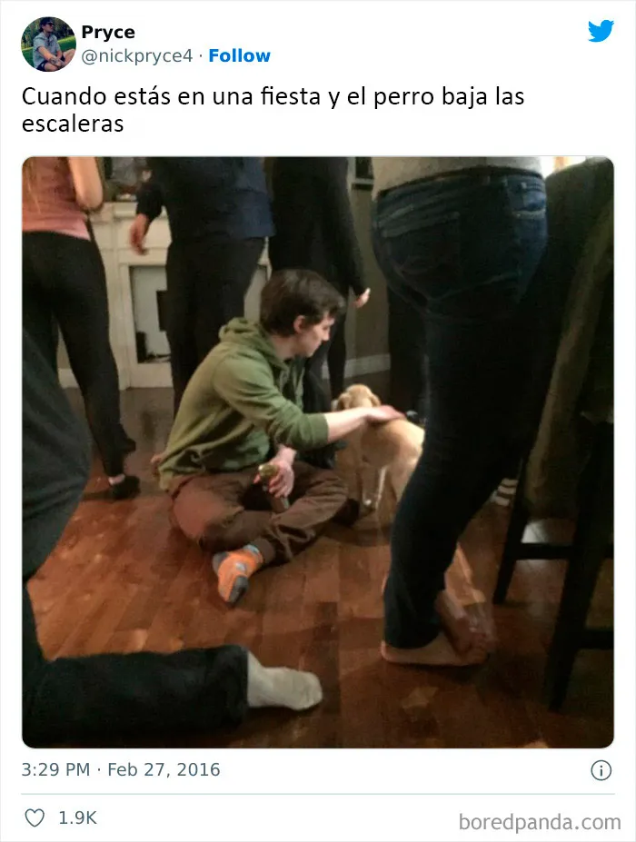 20 Memes dolorosamente divertidos sobre ser introvertidos, compartidos en este grupo online