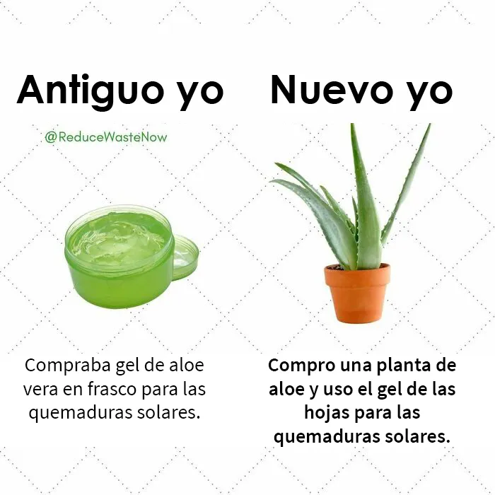 20 Memes de «Antiguo yo VS Nuevo yo» que te ayudarán a reducir desperdicios (nuevas publicaciones)