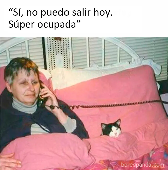 20 Memes dolorosamente divertidos sobre ser introvertidos, compartidos en este grupo online