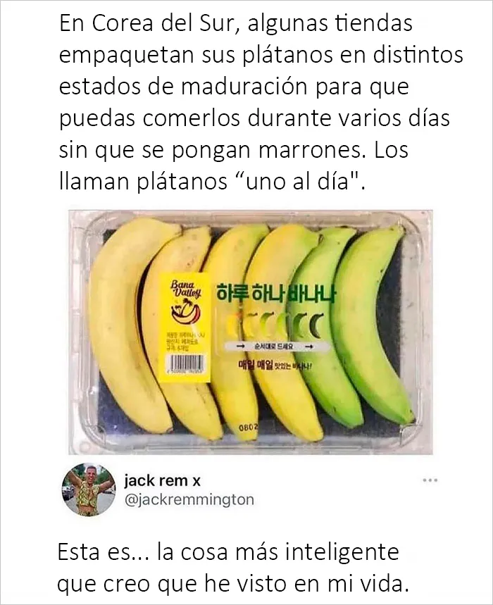 20 Publicaciones reconfortantes para sentirse bien, compartidas en el instagram "Delightful news"