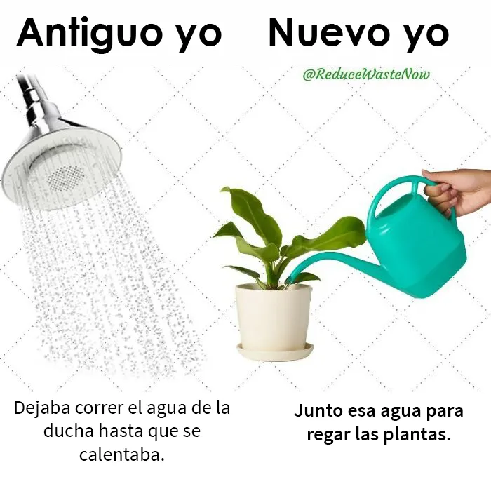 20 Memes de «Antiguo yo VS Nuevo yo» que te ayudarán a reducir desperdicios (nuevas publicaciones)