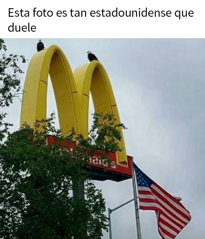 20 Memes que resumen la vida en Estados Unidos