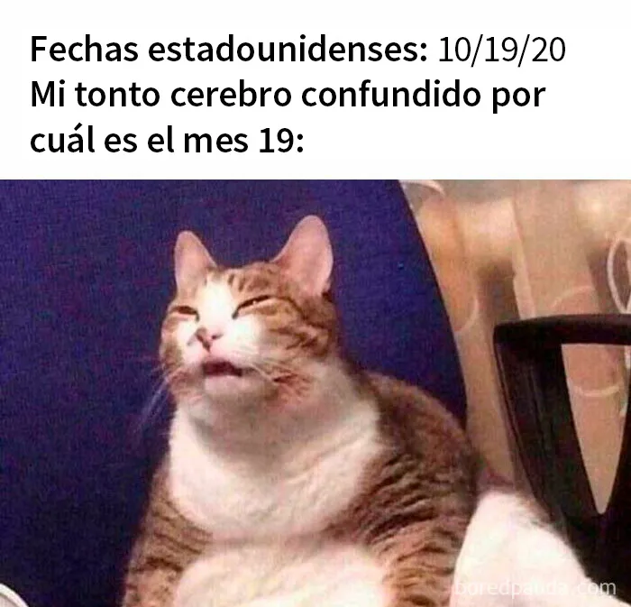 20 Memes que resumen la vida en Estados Unidos
