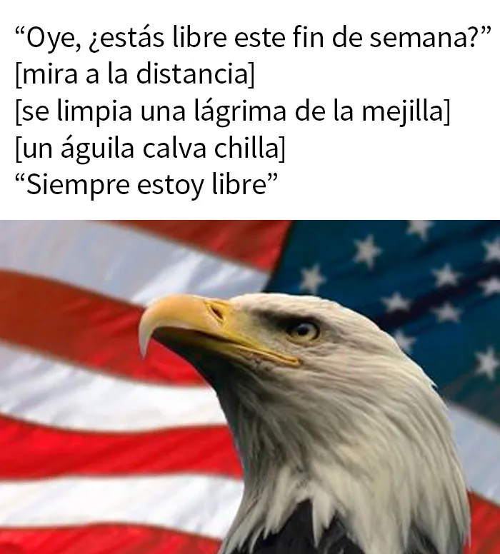 20 Memes que resumen la vida en Estados Unidos