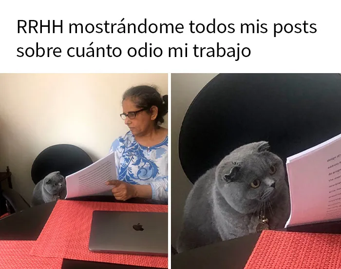 20 Memes divertidísimos compartidos en la cuenta de Instagram 'Sarcasm Only' (nuevas fotos)