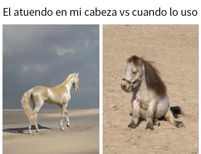20 Memes divertidísimos compartidos en la cuenta de Instagram 'Sarcasm Only' (nuevas fotos)