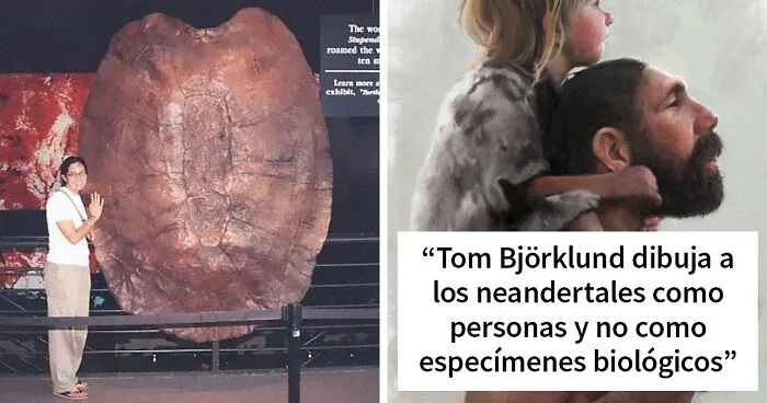 40 Imágenes interesantes que demuestran que la naturaleza de hace millones de años era increíble