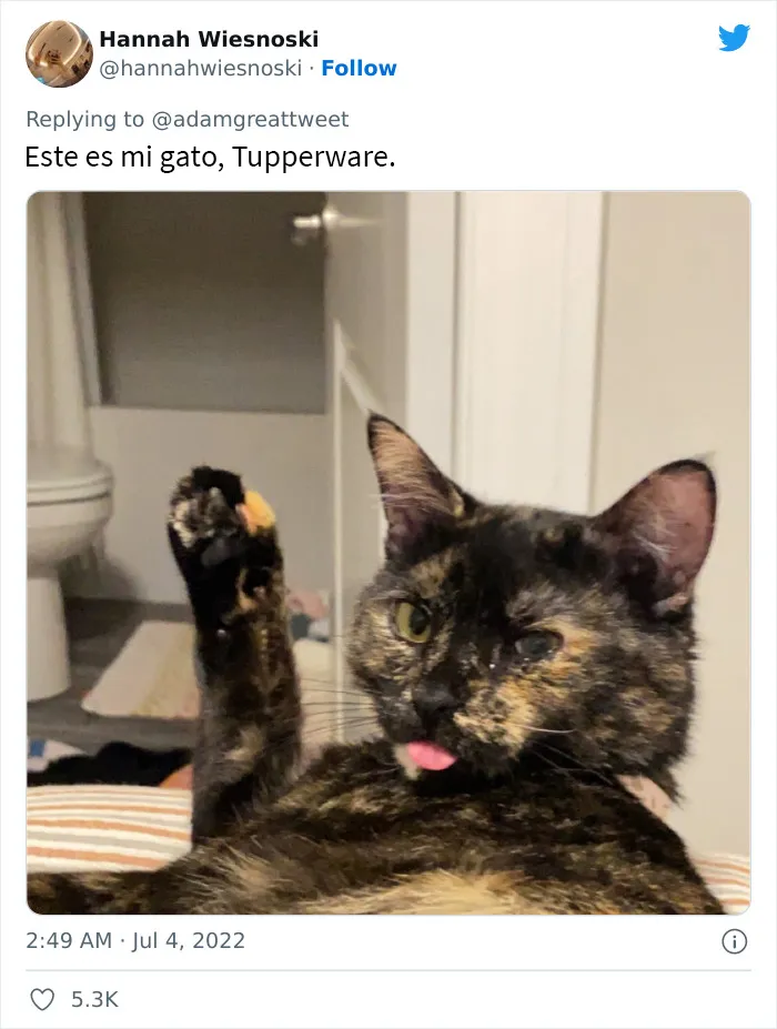 20 Nombres de mascotas muy disparatados, compartidos por los dueños en este hilo viral de Twitter