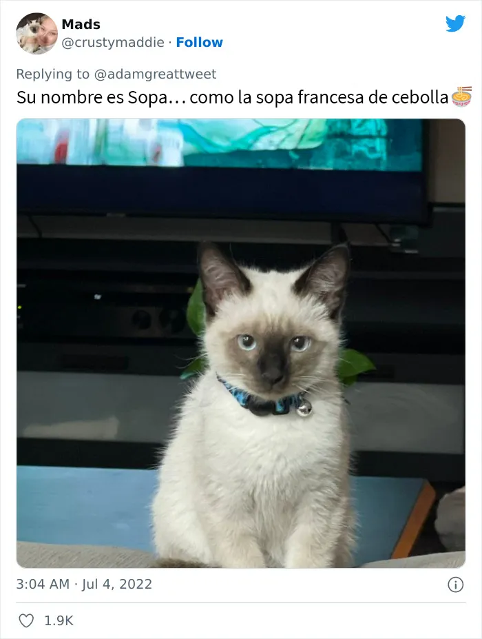 20 Nombres de mascotas muy disparatados, compartidos por los dueños en este hilo viral de Twitter