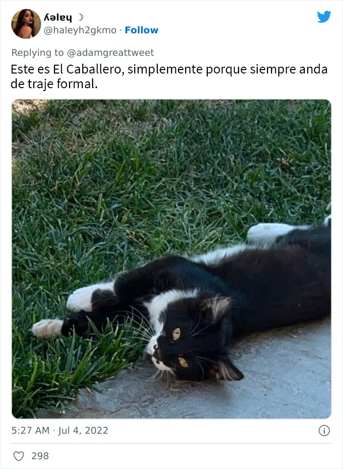 20 Nombres de mascotas muy disparatados, compartidos por los dueños en este hilo viral de Twitter