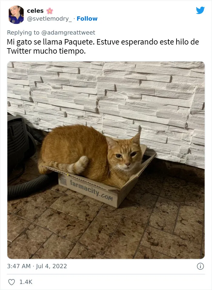 20 Nombres de mascotas muy disparatados, compartidos por los dueños en este hilo viral de Twitter