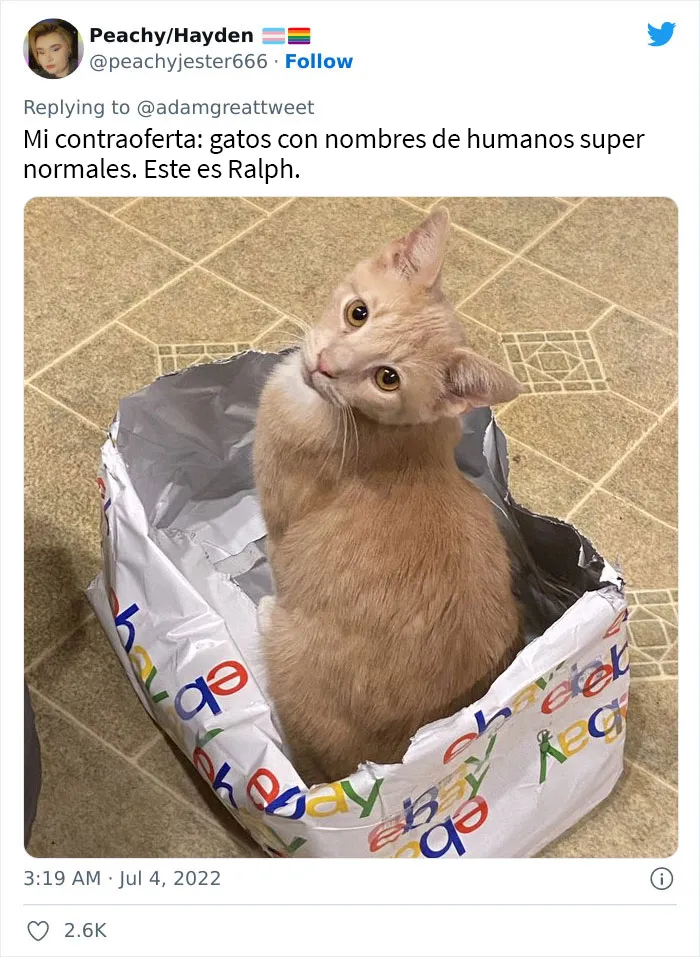 20 Nombres de mascotas muy disparatados, compartidos por los dueños en este hilo viral de Twitter