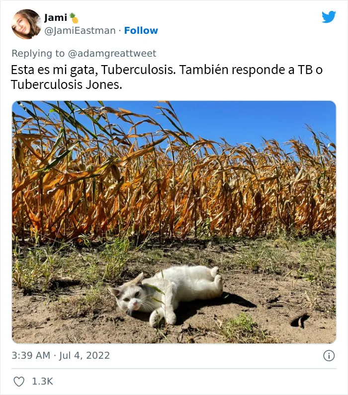 20 Nombres de mascotas muy disparatados, compartidos por los dueños en este hilo viral de Twitter