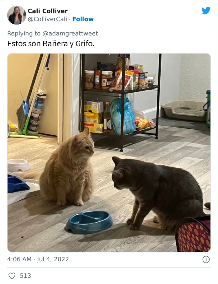 20 Nombres de mascotas muy disparatados, compartidos por los dueños en este hilo viral de Twitter