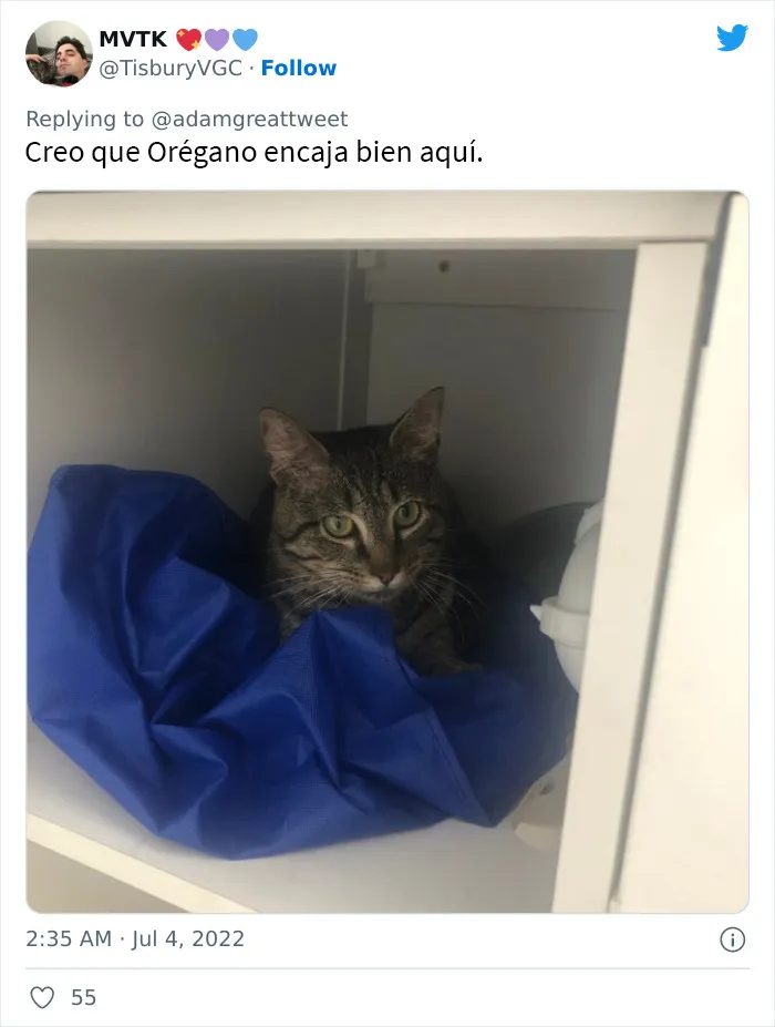 20 Nombres de mascotas muy disparatados, compartidos por los dueños en este hilo viral de Twitter