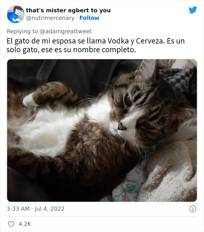 20 Nombres de mascotas muy disparatados, compartidos por los dueños en este hilo viral de Twitter