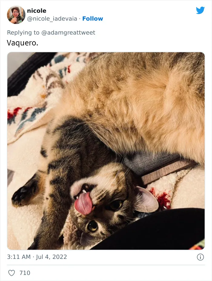 20 Nombres de mascotas muy disparatados, compartidos por los dueños en este hilo viral de Twitter