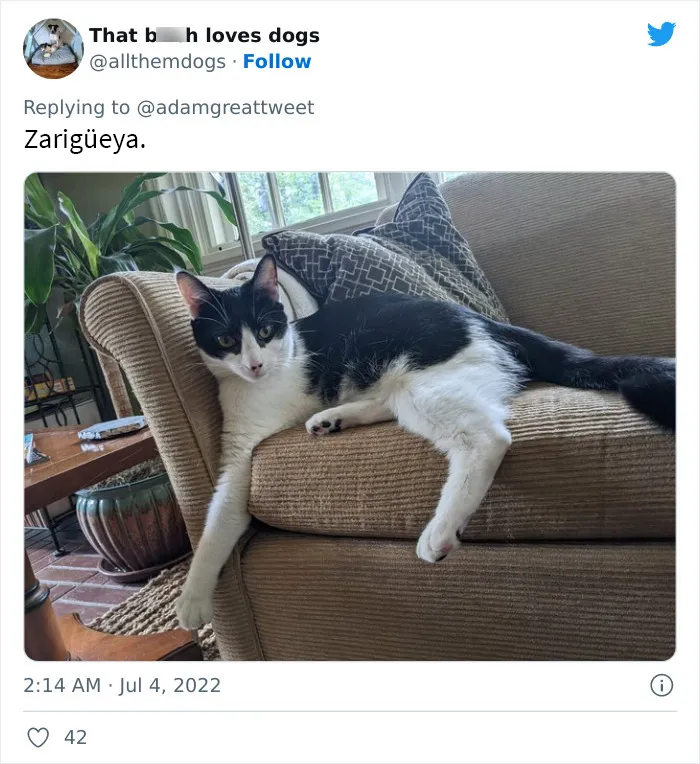 20 Nombres de mascotas muy disparatados, compartidos por los dueños en este hilo viral de Twitter