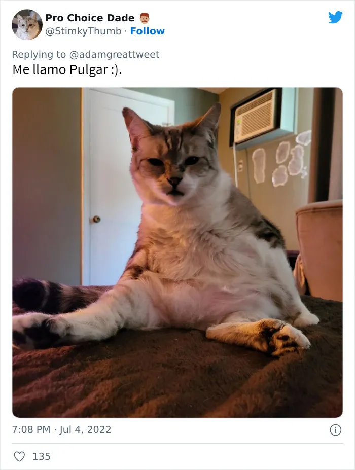 20 Nombres de mascotas muy disparatados, compartidos por los dueños en este hilo viral de Twitter