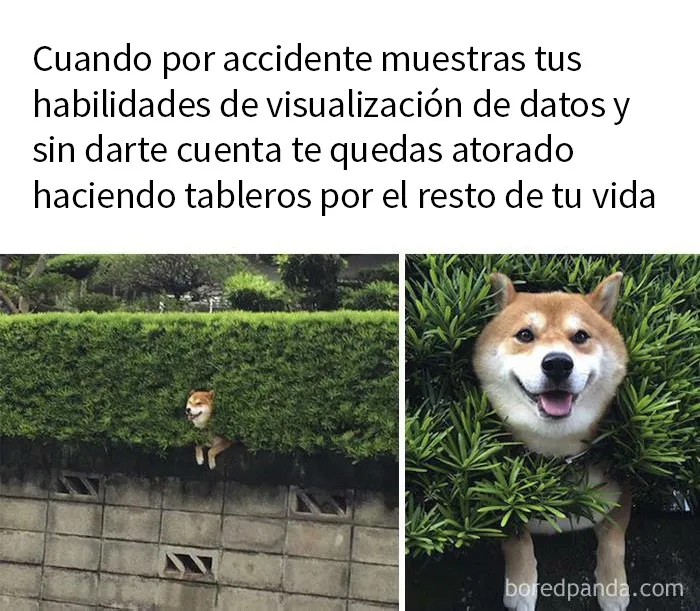 20 Dolorosos pero divertidos memes sobre el trabajo para recordarte que necesitas tiempo libre