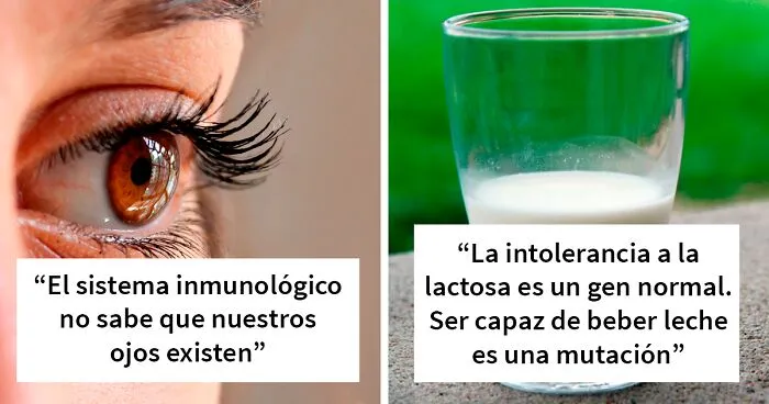 25 Datos interesantes pero perturbadores sobre el cuerpo humano no tan conocidos