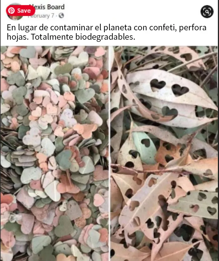 ¡Vi esto y pensé que era una idea super linda! Sería perfecto para una celebración al aire libre