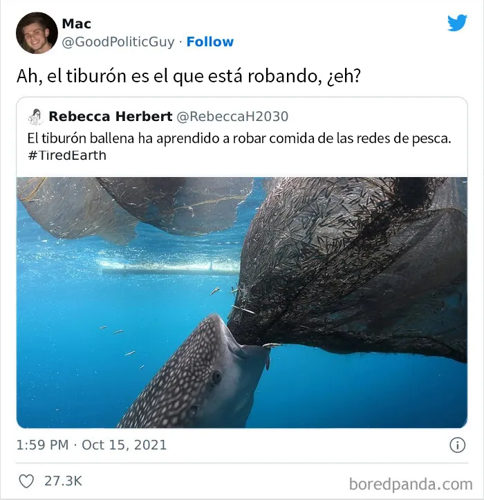 ¿Quién es el ladrón?