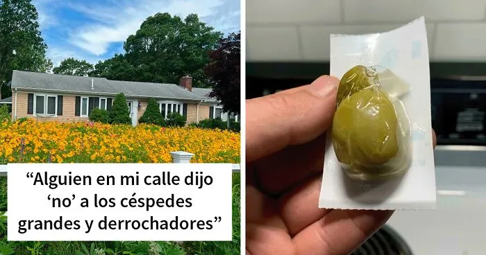 "Cuando algo es gratis, tú eres el producto": 20 publicaciones de esta comunidad anticonsumo que quizá te ayuden a reducir (nuevas fotos)