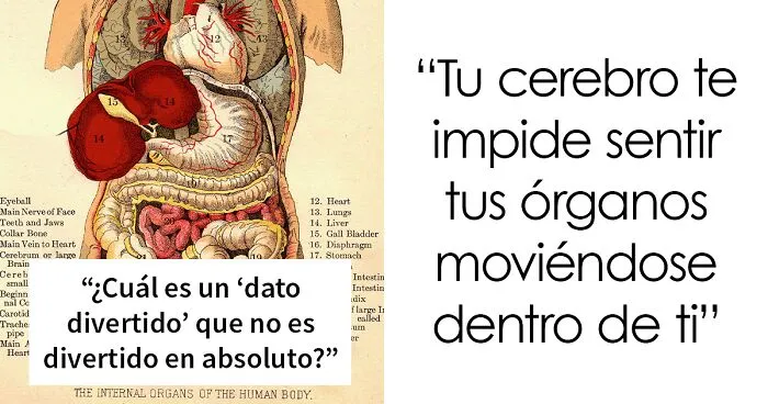 "¿Cuál es un 'dato divertido' que no es divertido en absoluto?": 20 respuestas